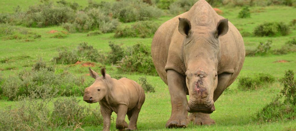 Kariega Settler's Drift - Image 5