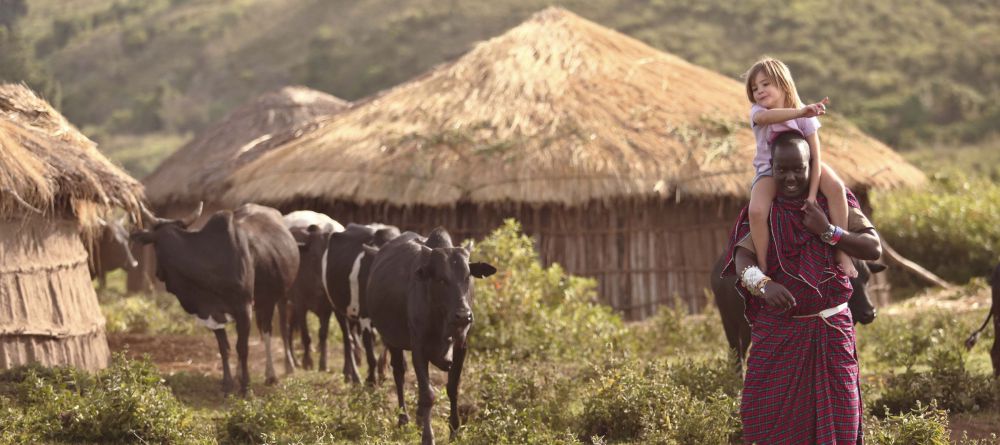 The Highlands - Wildlife - Image 8