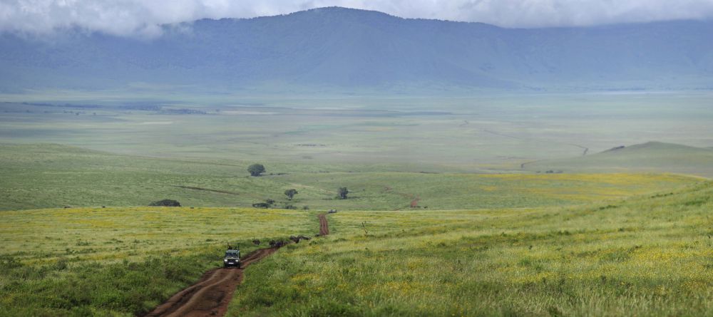 The Highlands - Image 11