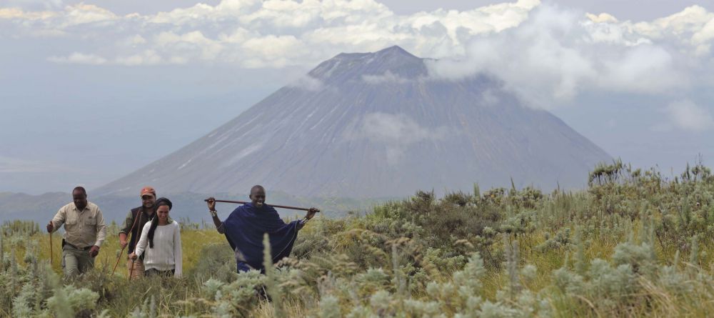 The Highlands - Walking Safari - Image 9
