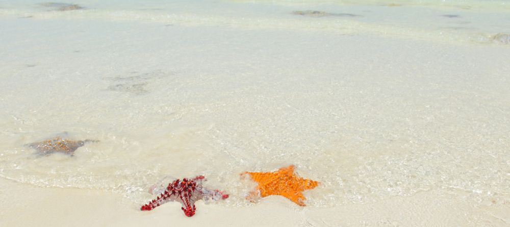 The Z Hotel, Zanzibar, Tanzania - Image 8