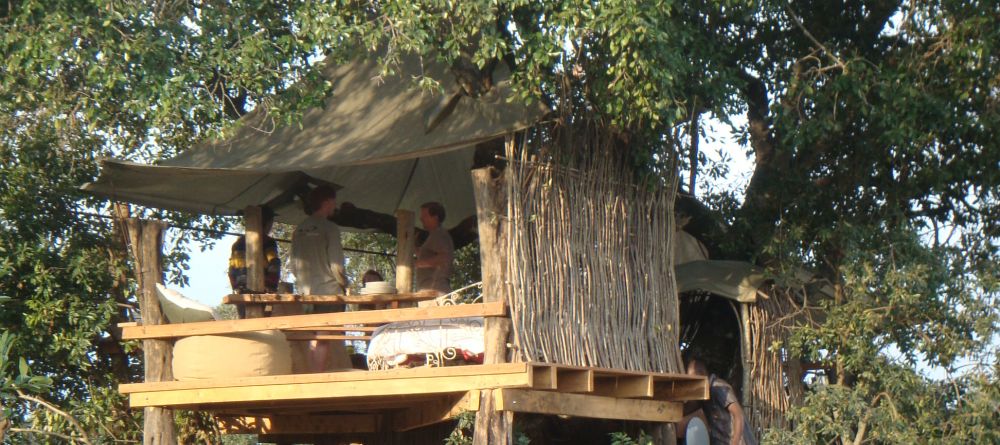 Nest tree house at Ngare Serian Camp, Masai Mara National Reserve, Kenya - Image 17
