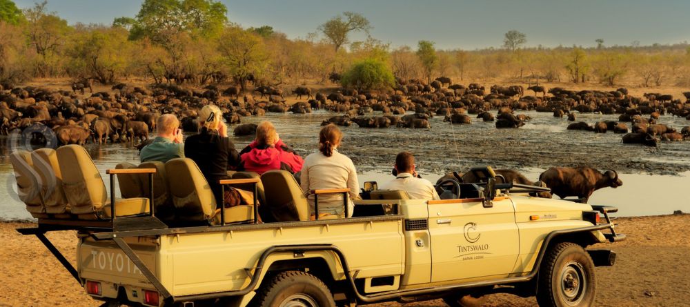 Tintswalo Manor House, Manyeleti Game Reserve, South Africa - Image 2