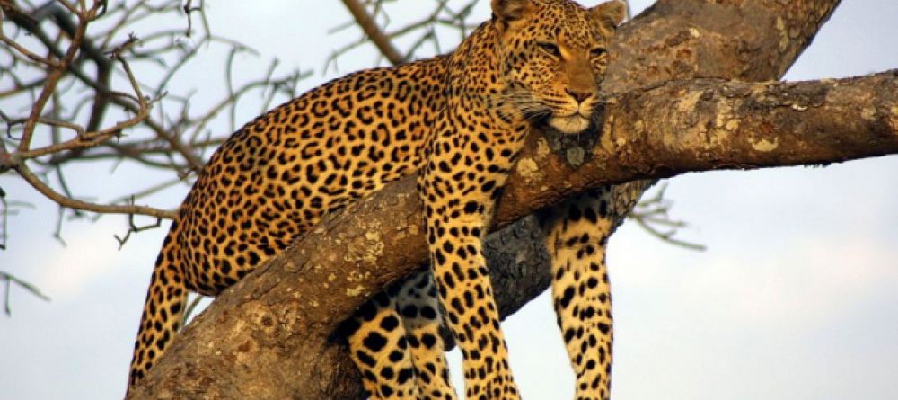 Toshari Lodge - Image 3