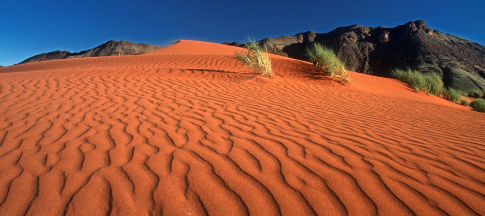 Tok Tokkie Trail - Image 1