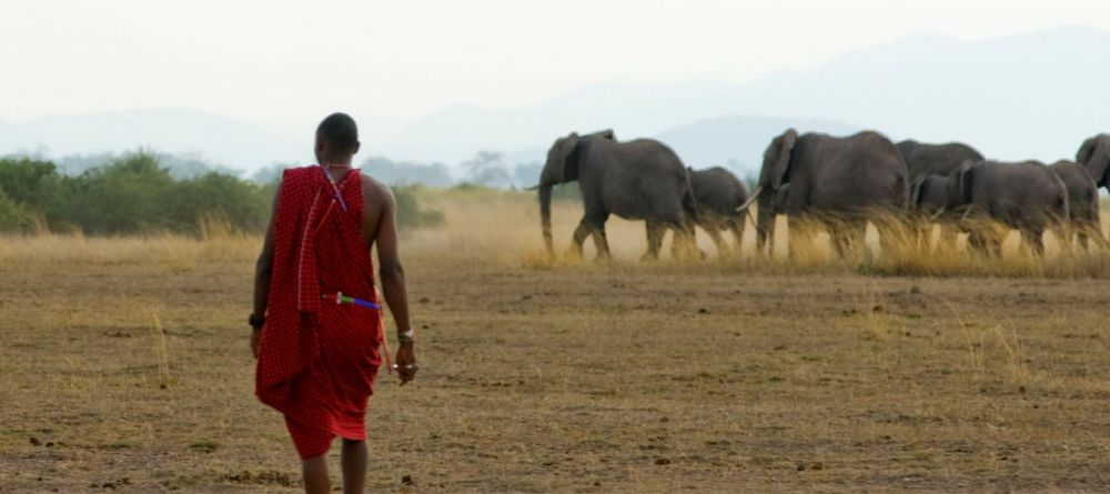 Tortilis Camp, Amboseli National Reserve, Kenya - Image 4