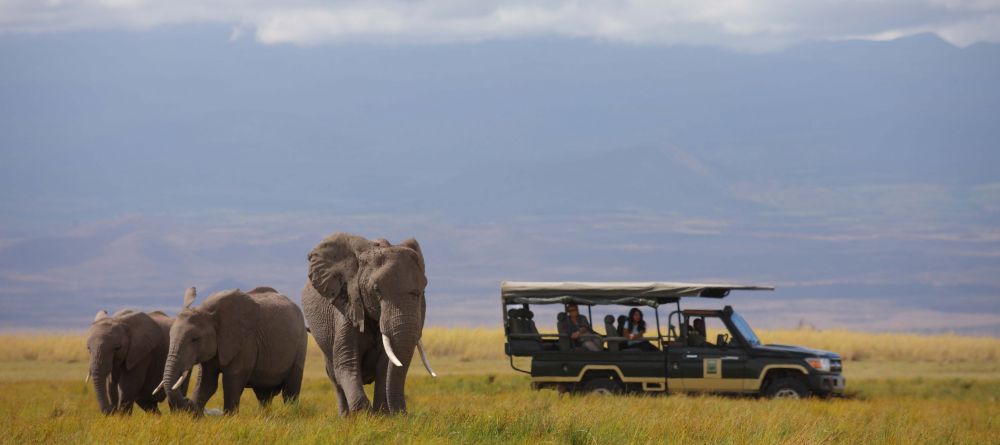 Tortilis Camp, Amboseli National Reserve, Kenya - Image 8