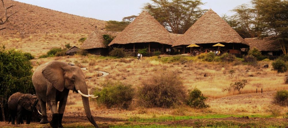 Tortilis Camp, Amboseli National Reserve, Kenya Â© Michael Poliza - Image 14