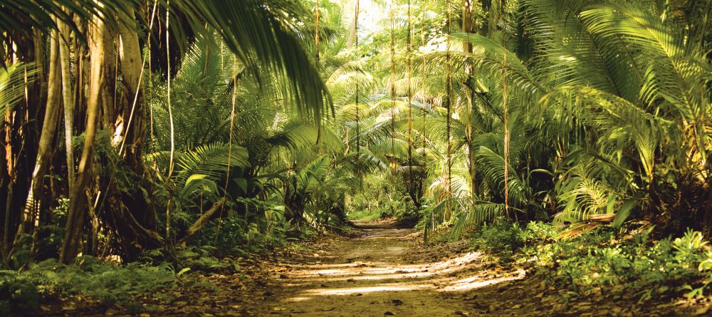 The trail through the tropical growth at Denis Island Lodge, Denis Island, Seychelles - Image 10