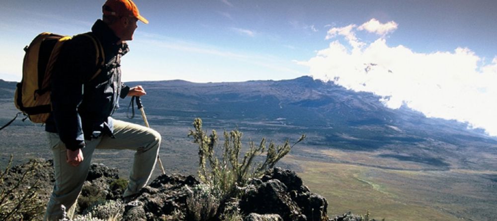 Mt. Kilimanjaro Western Approach - Image 4