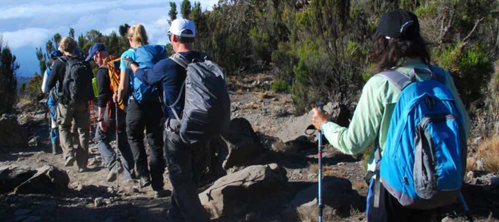 Mt. Kilimanjaro Western Approach - Image 5