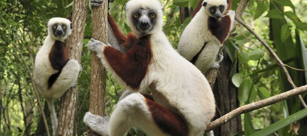 Nature Lodge, Diego Suarez, Madagascar - Image 5