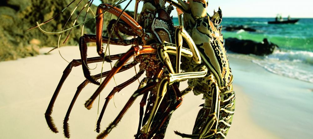 Tsarabanjina, Nosy Be, Madagascar - Image 15