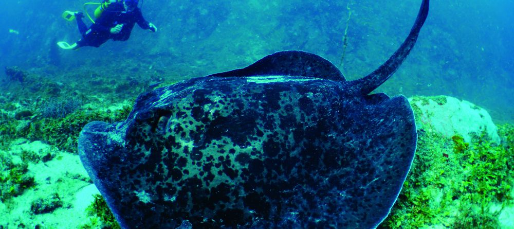 Tsarabanjina, Nosy Be, Madagascar - Image 1