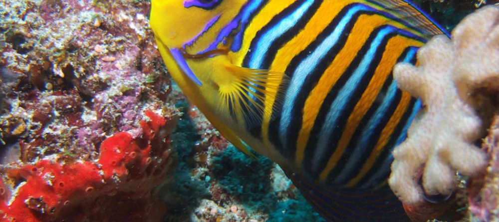 Tsarabanjina, Nosy Be, Madagascar - Image 2