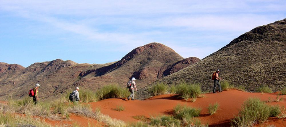 Tok Tokkie Trail - Image 3