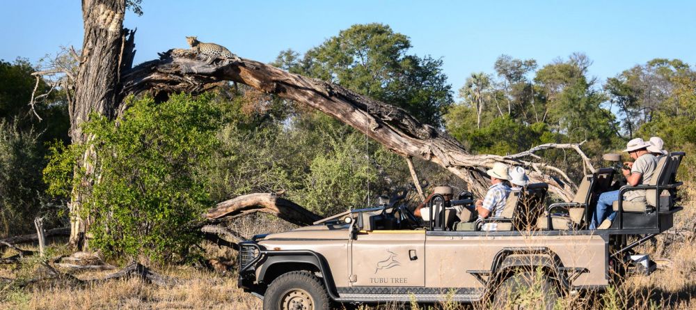 Little Tubu Tree Camp, Okavango Delta, Botswana - Image 1