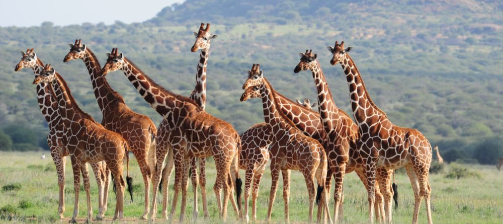 Tumaren Camp - Image 4