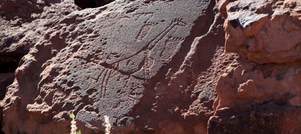 Twefelfontein giraffe and feet - Image 13