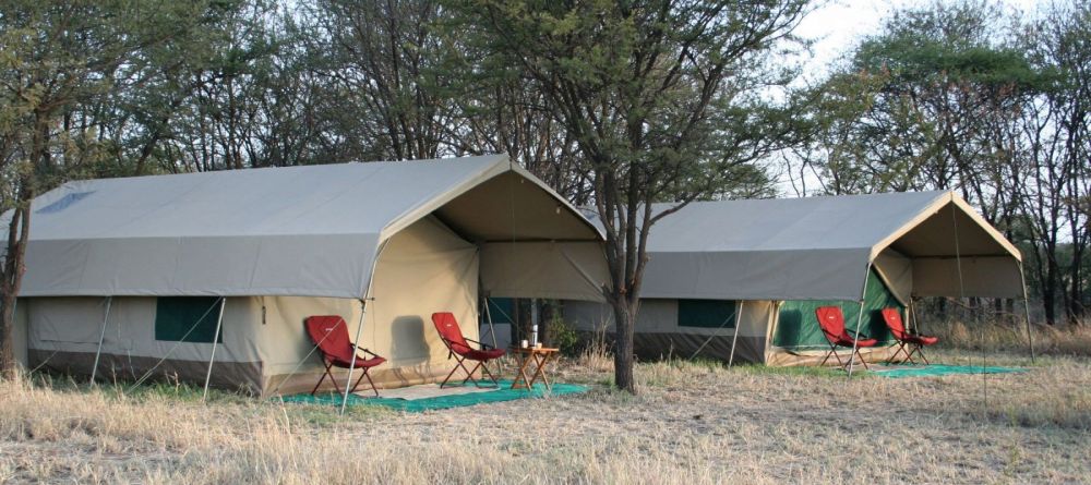 The guest tents at Serengeti Wilderness Camp, Serengeti NCCA, Tanzania - Image 2