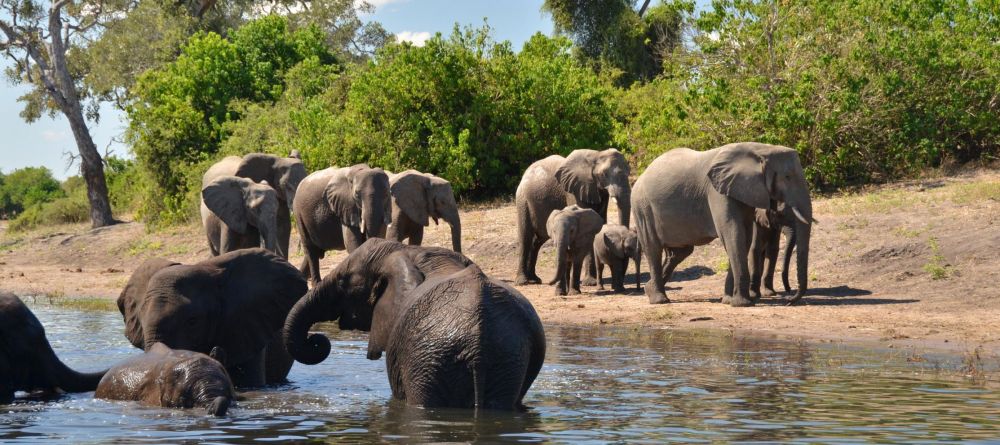 Muchenje Lodge - Image 9