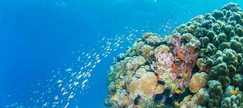 Underwater Room - Image 2