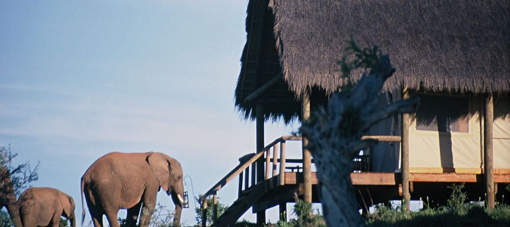 Gorah Elephant Camp, Addo Elephant National Park, South Africa - Image 6