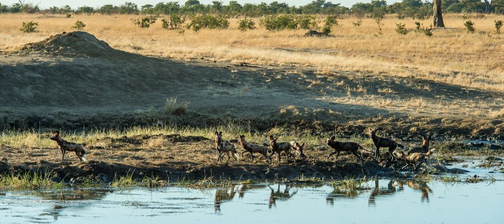 Verney's Camp - Image 7