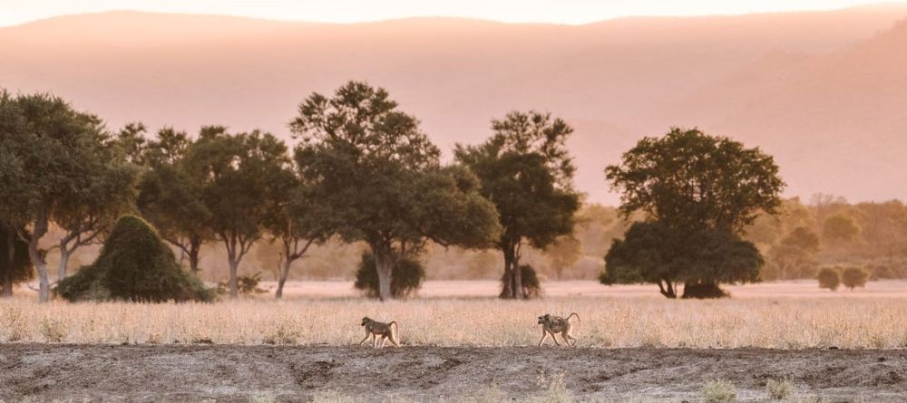 Kutali Camp - Image 6