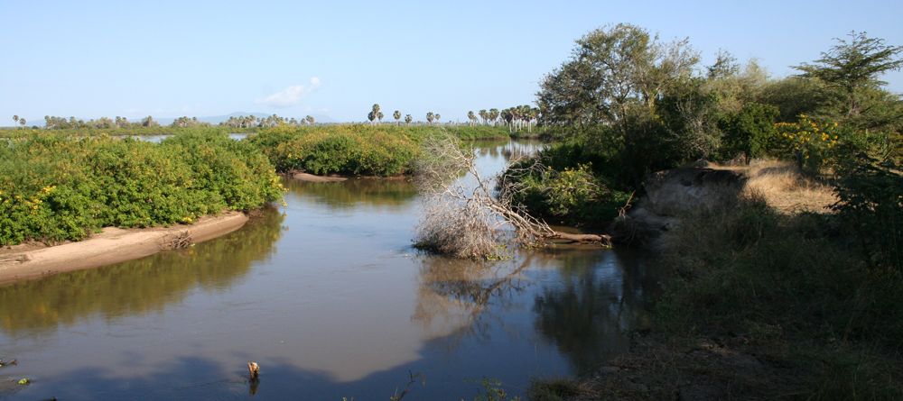 View from lodge at Selous Impala Camp, Selous National Park, Tanzania - Image 3