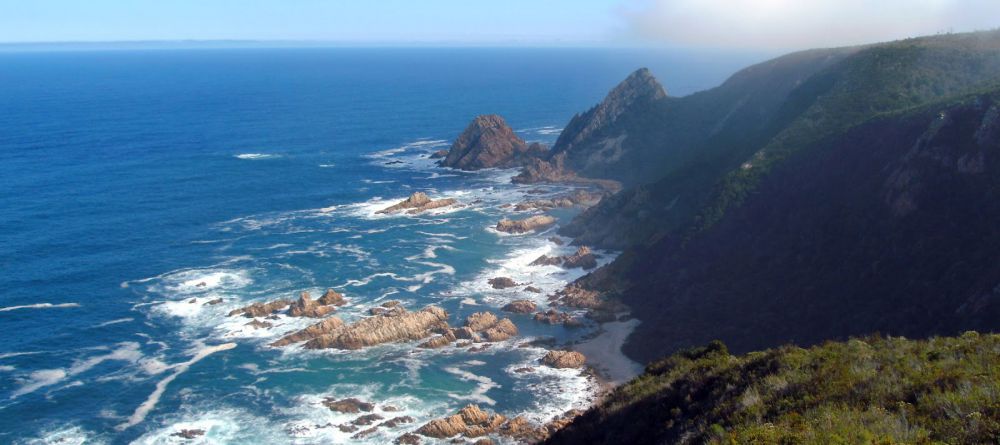 The Harkerville Hiking Trail, Garden Route, South Africa - Image 9