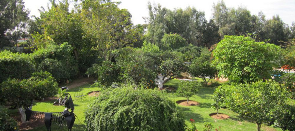 Villa Mandarine, Rabat, Morocco - Image 1