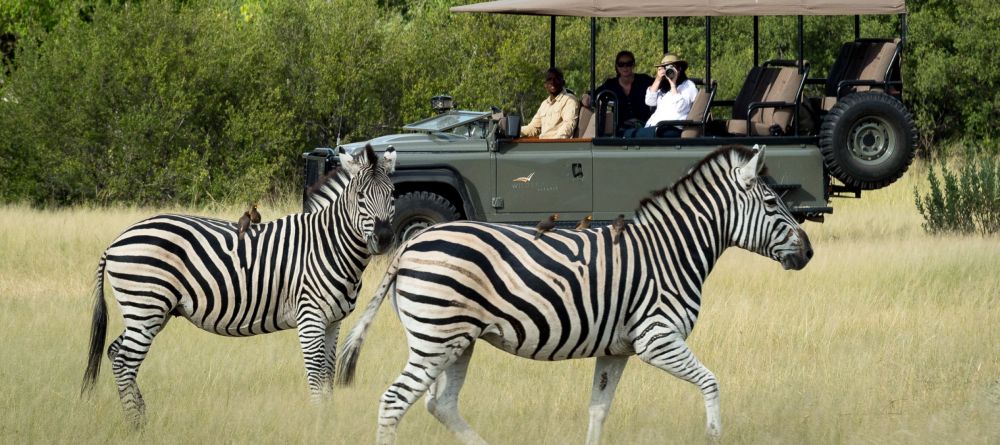 Game drive with zebras, Little Vumbura, Okavango Delta, Botswana © Dana Allen - Image 7