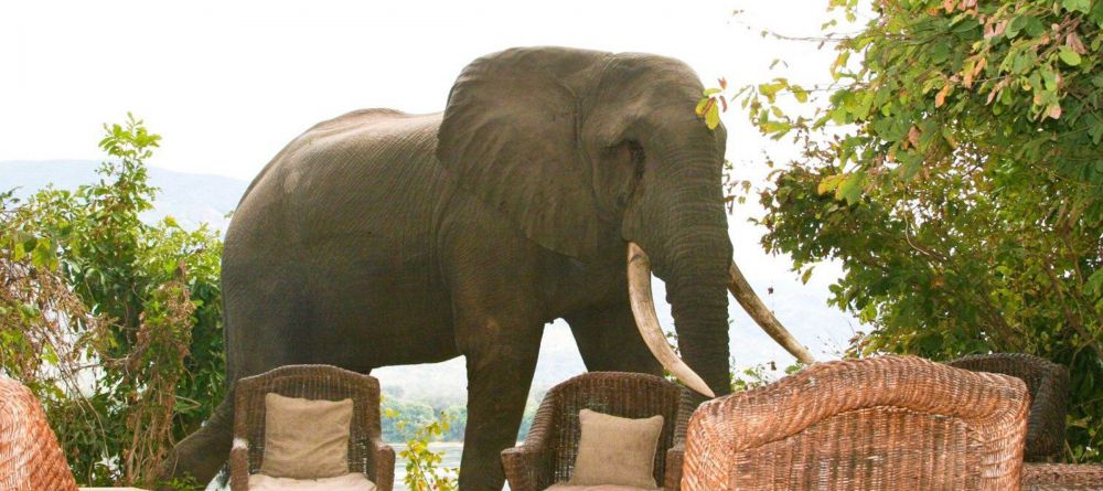 Vundu Camp - Image 3