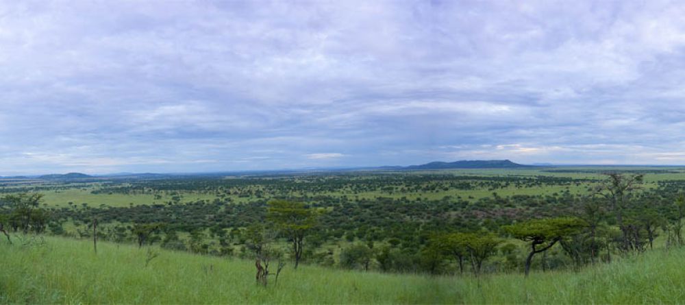 The sweeping Serengeti vista at Serena Serengeti Safari Lodge, Serengeti National Park, Tanzania - Image 2