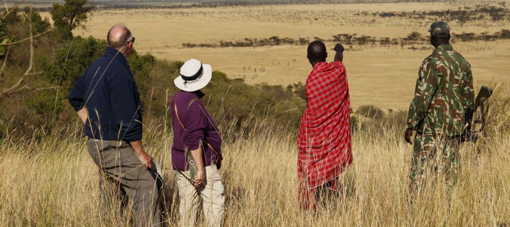 Walking safari - Image 2