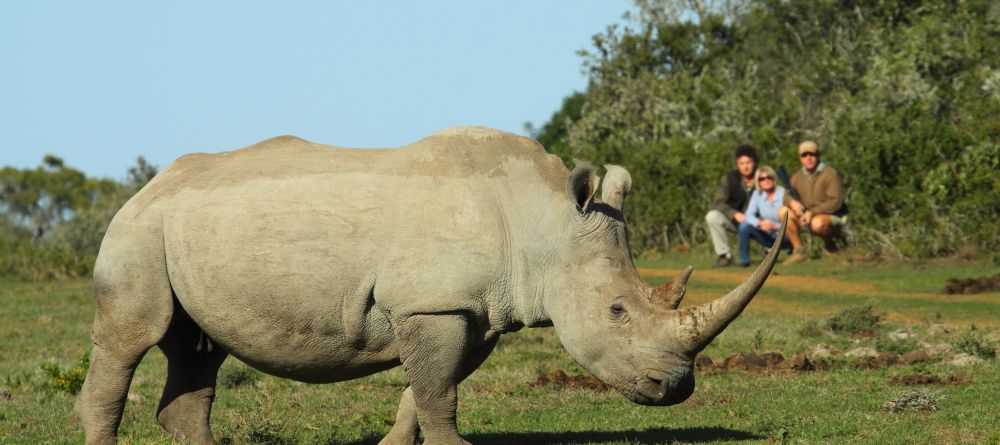 Walking safari at Shamwari Bayethe Tented Lodge, Shamwari Game Reserve, South Africa - Image 8