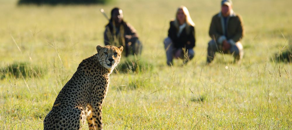 Walking safari at Shamwari Long Lee Manor, Shamwari Game Reserve, South Africa - Image 3