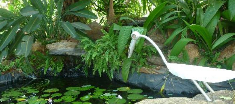 Wendel's Guesthouse, Lilongwe, Malawi - Image 4