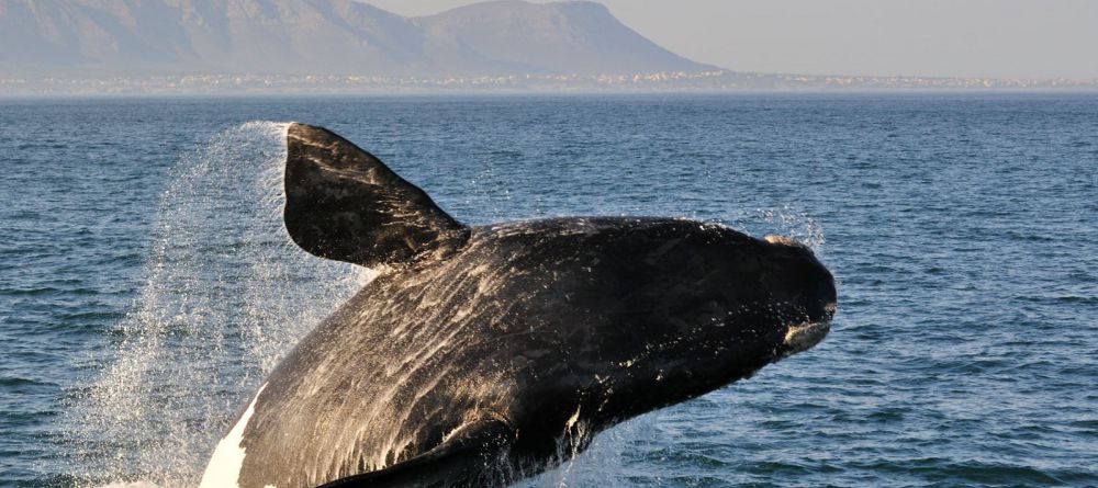 Windsor Hotel - Image 4