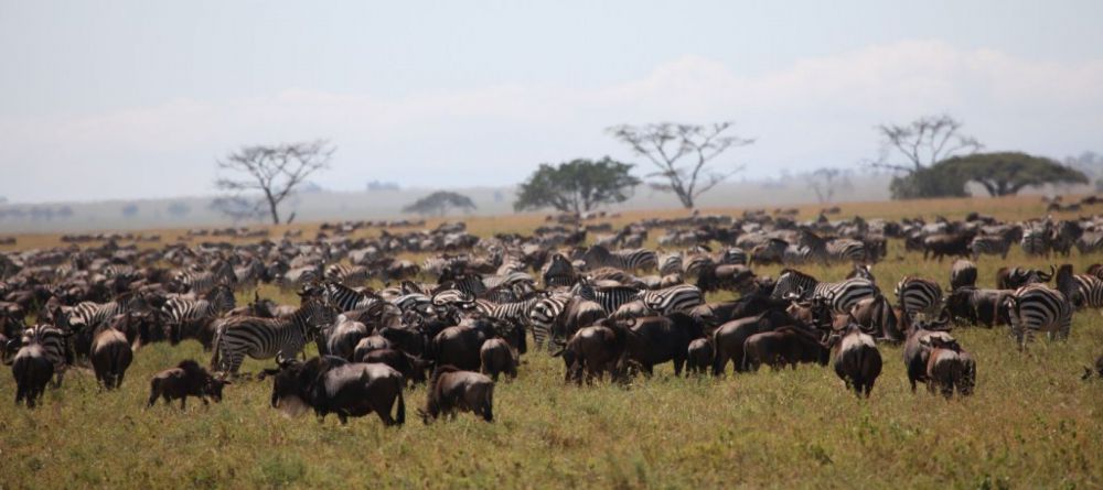 Lobo Wildlife Lodge - Image 5
