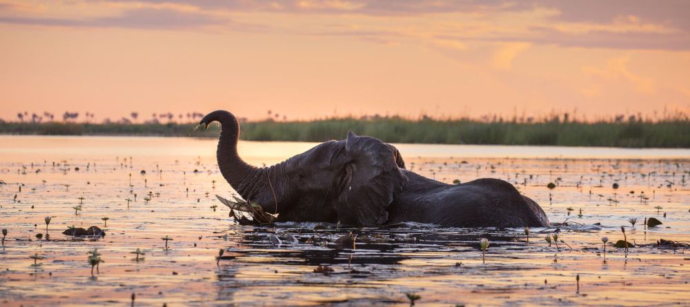 Little DumaTau - Image 3