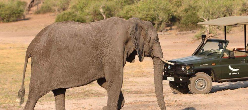Delta Explorer Campsite, Okavango Delta, Botswana - Image 15