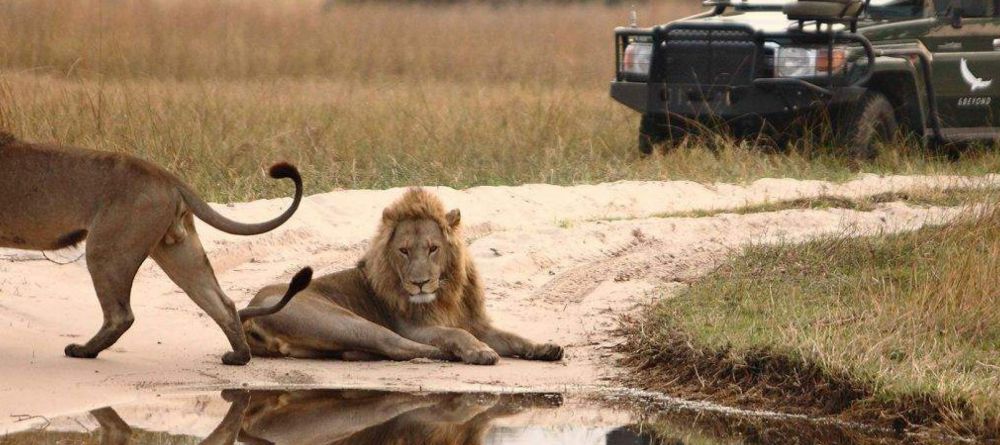 Delta Explorer Campsite, Okavango Delta, Botswana - Image 5
