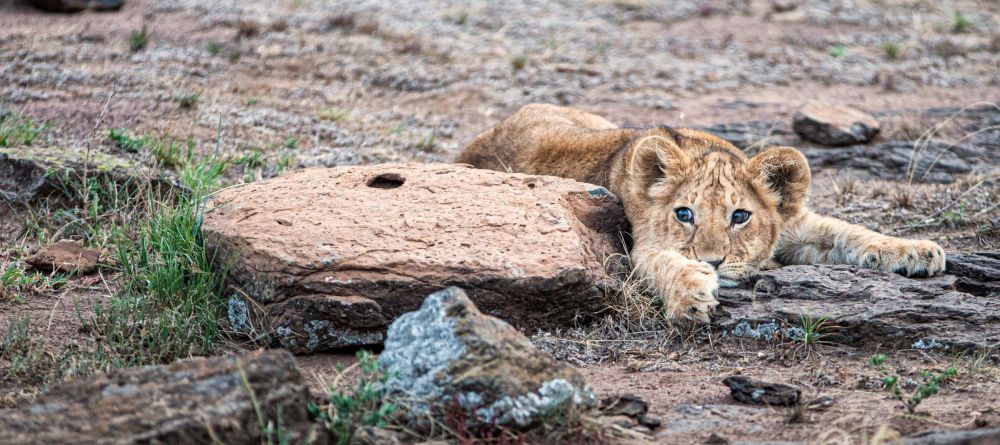 Mara Nyika  - Image 18