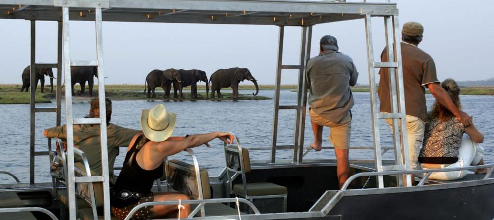 Zambezi queen activities - Image 4