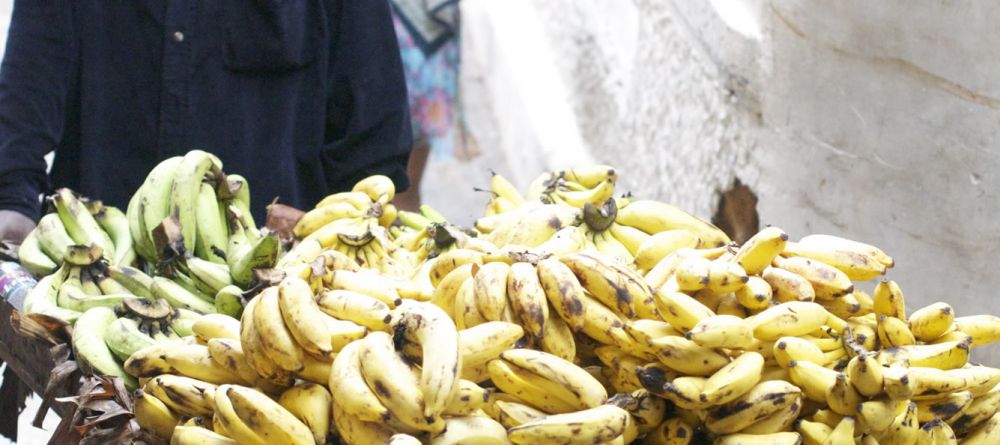 Zanzibar Palace Hotel, Stonetown, Zanzibar, Tanzania - Image 11