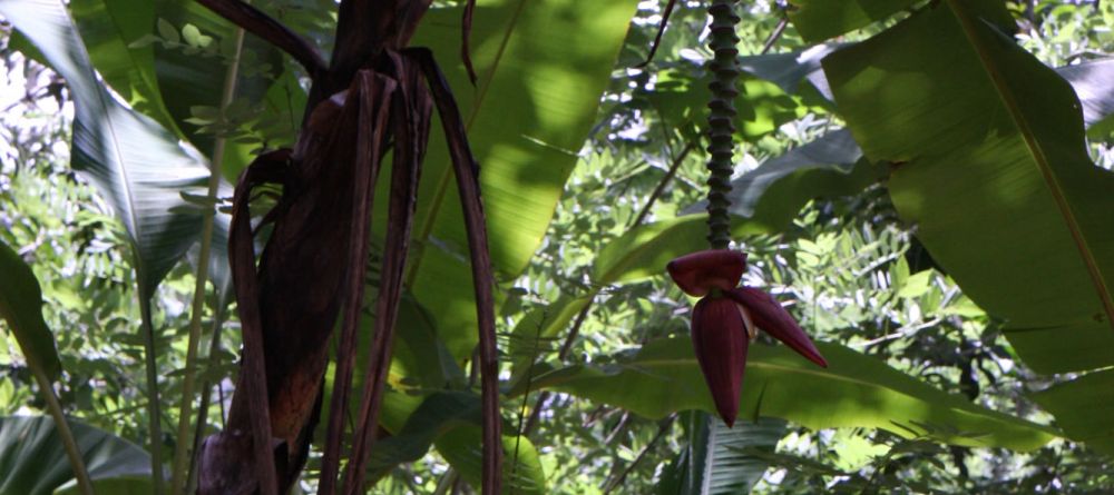 Zanzibar Palace Hotel, Stonetown, Zanzibar, Tanzania - Image 2