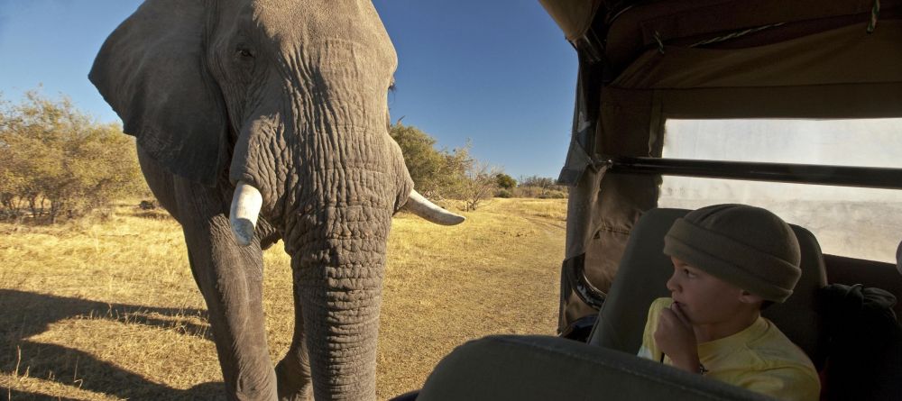 Zarafa Camp, Linyanti Wetlands, Botswana - Image 11