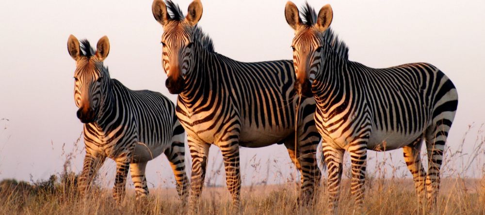 Thula Thula Safari Lodge, Thula Thula Game Reserve, South Africa - Image 4